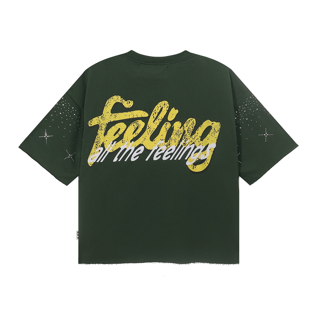 BKYS Revival Feelings Cropped Graphic T-Shirt — back